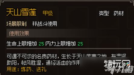 大侠立志传：如何通过甲级药材图鉴提升战力