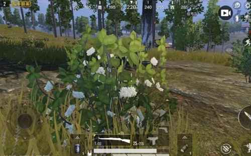 和平精英伏地魔出没地点全解析