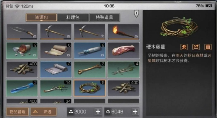 明日之后鱼竿制作全攻略：从零开始轻松上手